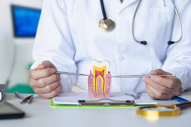 Best Emergency Dental Services for Seniors in Fords Prairie, WA